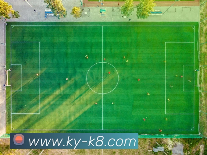 凯发娱乐APP 封面图